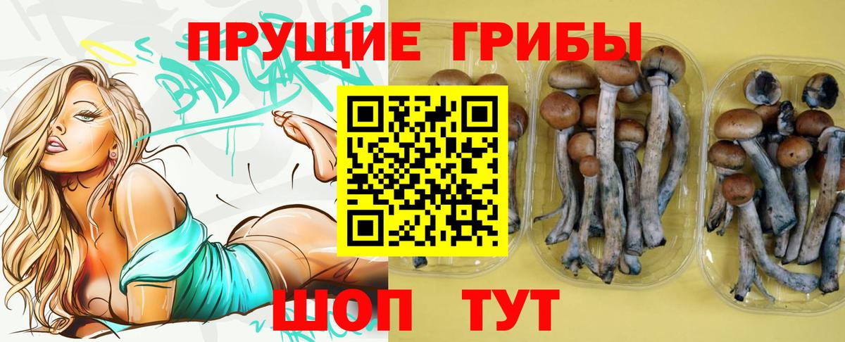 Троицк  Галлюциногенные грибы MAGIC MUSHROOMS  Вход с VPN 