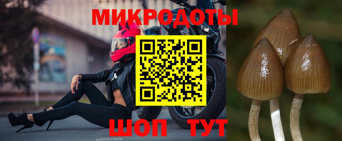 Псилоцибиновые грибы Magic Shrooms Троицк